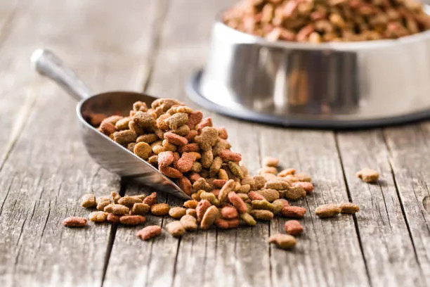 Animal nutrition ingredients for pet food, feed additives, and pet supplement formulations.