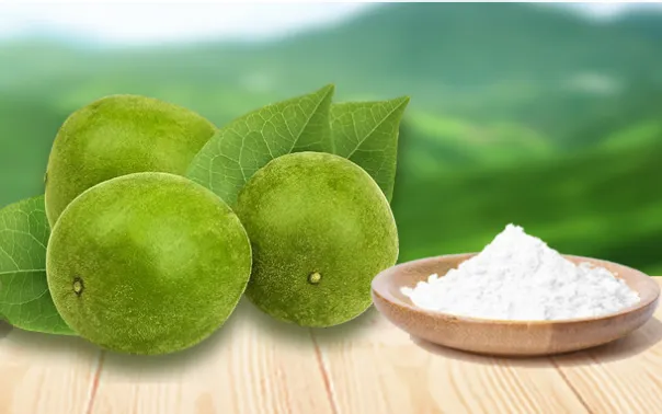 Monk fruit and Mogroside V 50% extract powder for natural reduced-sugar food and beverage formulations.
