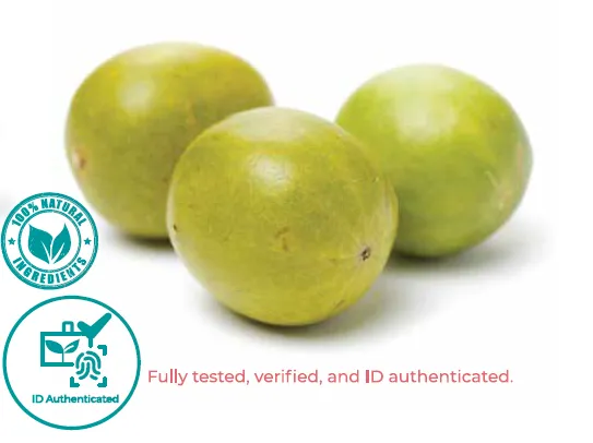 Whole monk fruit, also known as Luo Han Guo, used as the botanical source of Monk Fruit Extract.