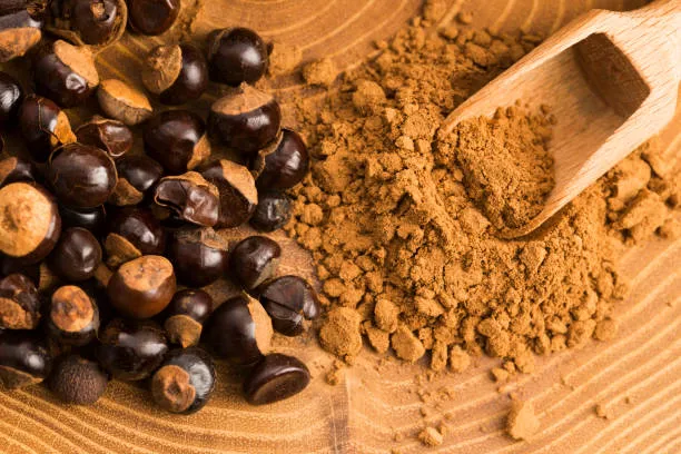 Guarana Dry Extract 22% caffeine with Paullinia cupana seeds and botanical powder