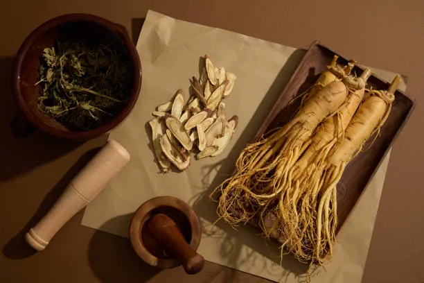 Dried Panax ginseng roots used for ginseng extract in dietary supplement formulations.