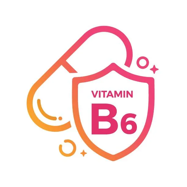 Bulk Vitamin B6 Pyridoxine Hydrochloride powder for vitamin blends, capsules, tablets, and functional beverages.