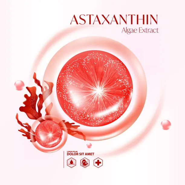 Astaxanthin 10% oil softgel capsules for dietary supplement and nutrition applications.