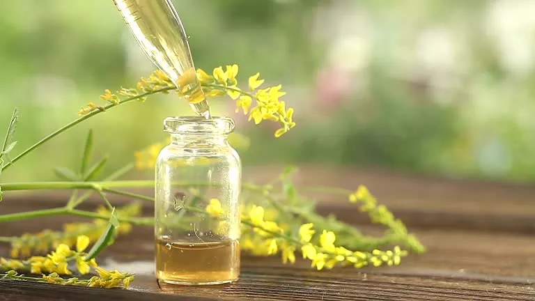 Evening Primrose Oil 9% GLA botanical oil for bulk softgel and supplement applications.