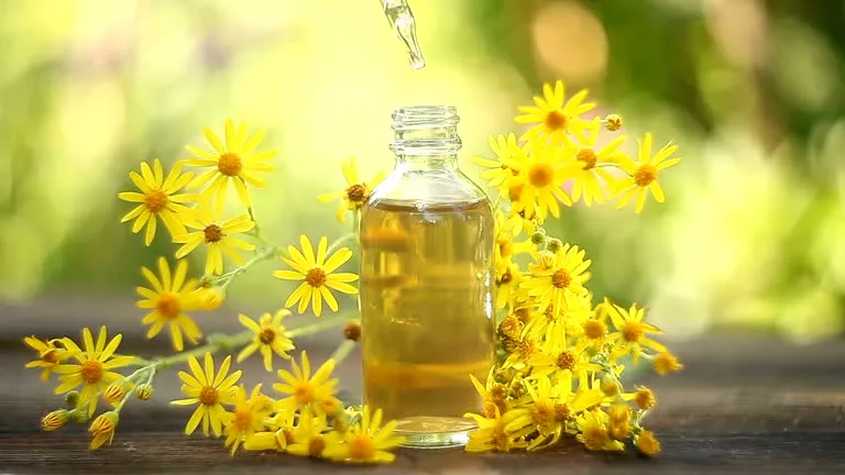 Evening Primrose Oil with gamma-linolenic acid for nutrition and cosmetic formulations.