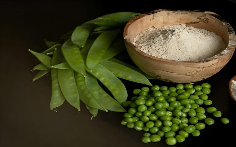 plant protein powders