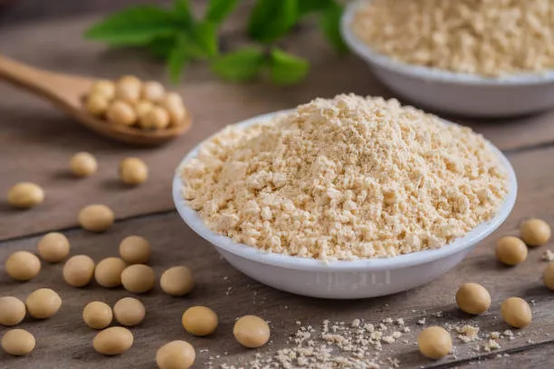 plant protein
